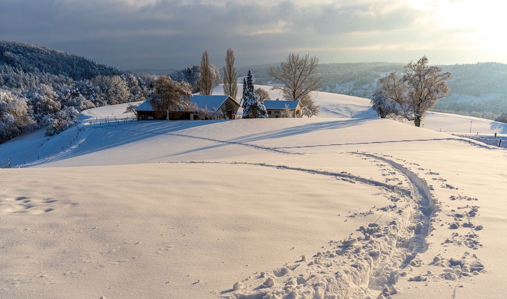 Zimski pejzaži-Winter landscapes - Page 6 D9492f1c580cd3659f799e5e5bf1dffd