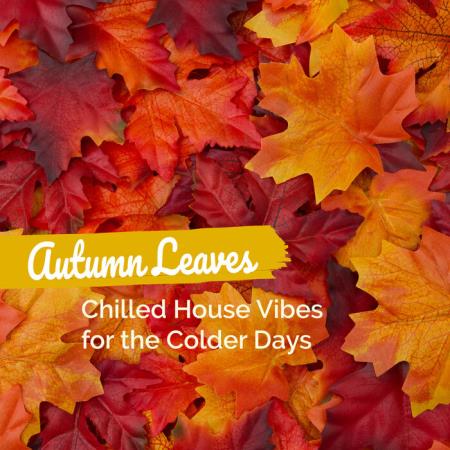 Autumn Leaves: Chilled House Vibes for the Colder Days (2023)