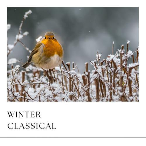 Winter Classical (2023)