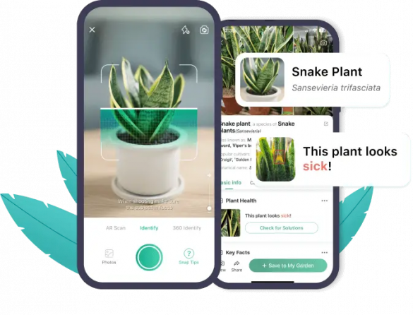 PictureThis - Plant Identification v3.76.1 (Android)