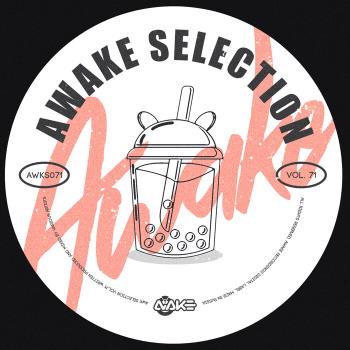 VA - AWK Selection, Vol. 71 (2023) MP3