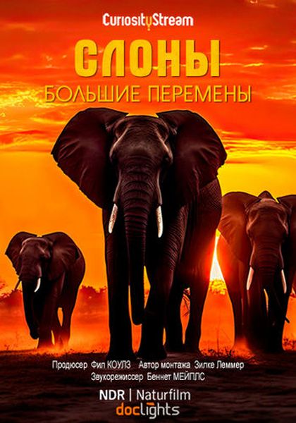 Слоны: большие перемены / Elephants. Changing Lives (2021) WEB-DL 1080p