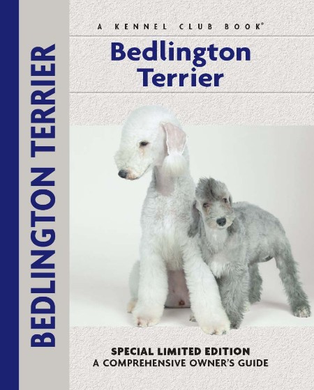 Bedlington Terrier by Muriel P. Lee