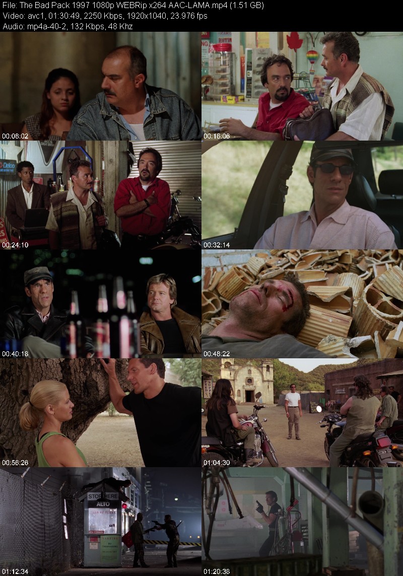 The Bad Pack (1997) 1080p WEBRip-LAMA 2815d5e52d2f71e6348bf082f723a463