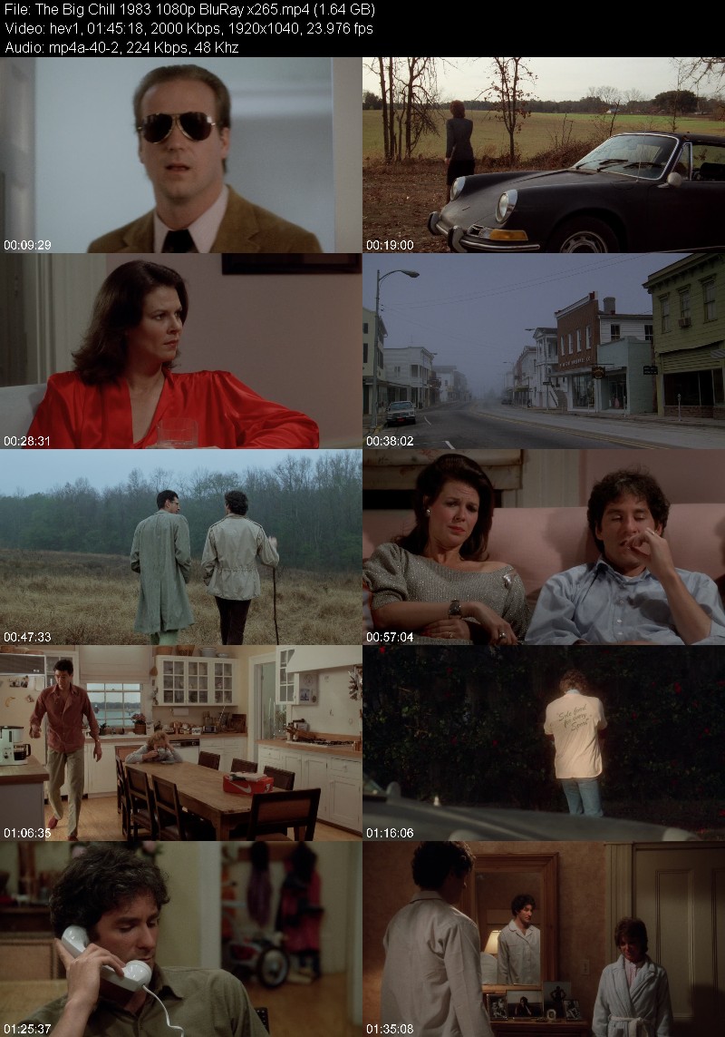 The Big Chill 1983 1080p BluRay x265 2adb4c90e7cf6ca45723da3c7ae0af69