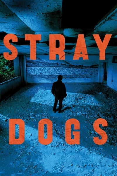 Stray Dogs 2013 1080p BluRay x265 087730616b36ea18274fada071bc8a71