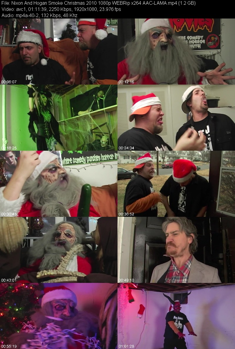 Nixon And Hogan Smoke Christmas (2010) 1080p WEBRip-LAMA 9d350252bb10406149e9b6d8040c6a7e