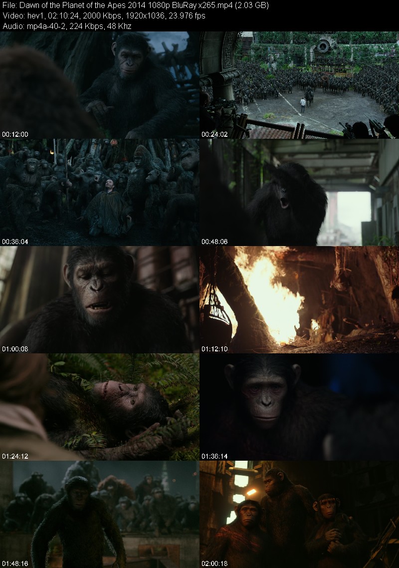 Dawn of the Planet of the Apes 2014 1080p BluRay x265 1e9884d4ecf81189474df046a1b234ab