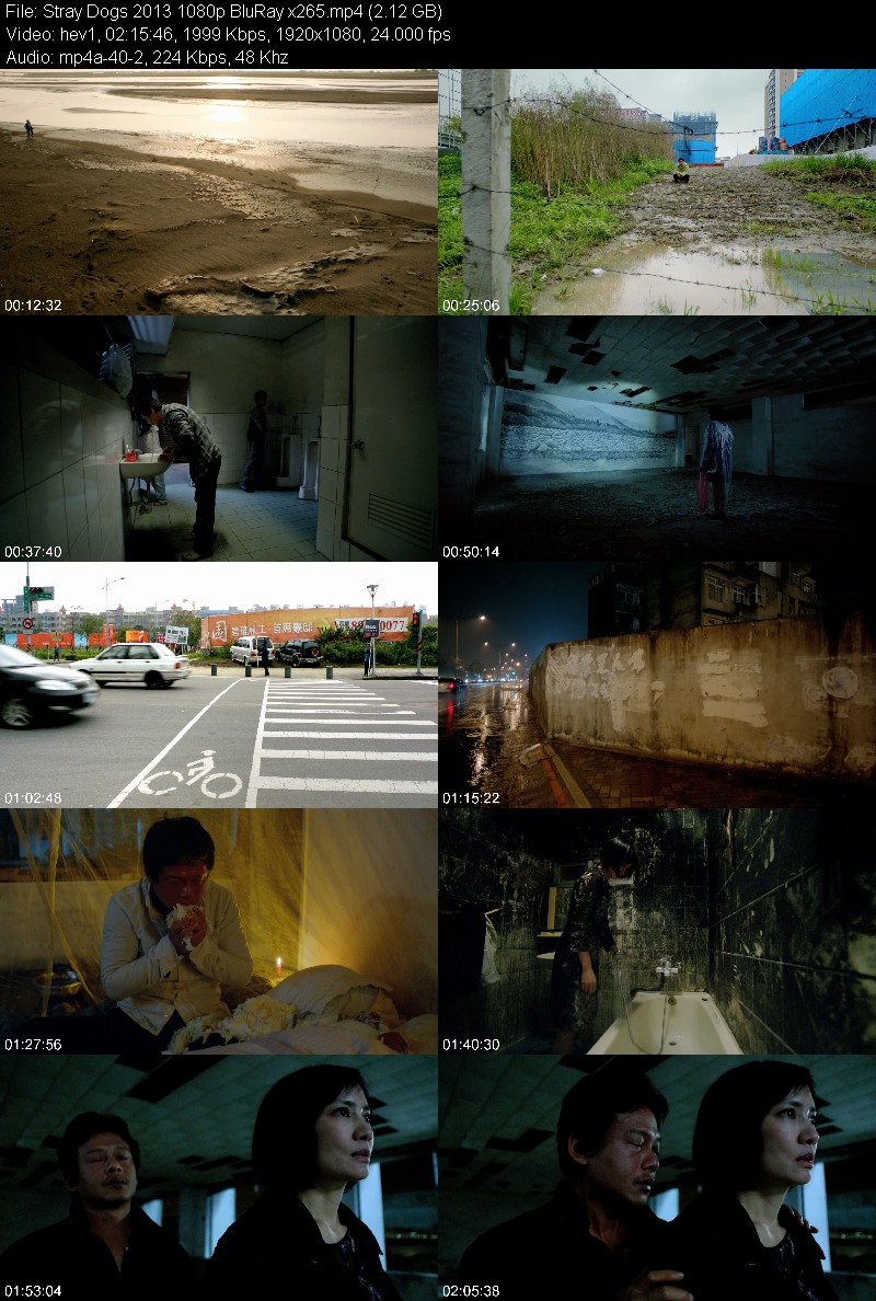 Stray Dogs 2013 1080p BluRay x265 C573cec9d778ca76697e289e118a10b6