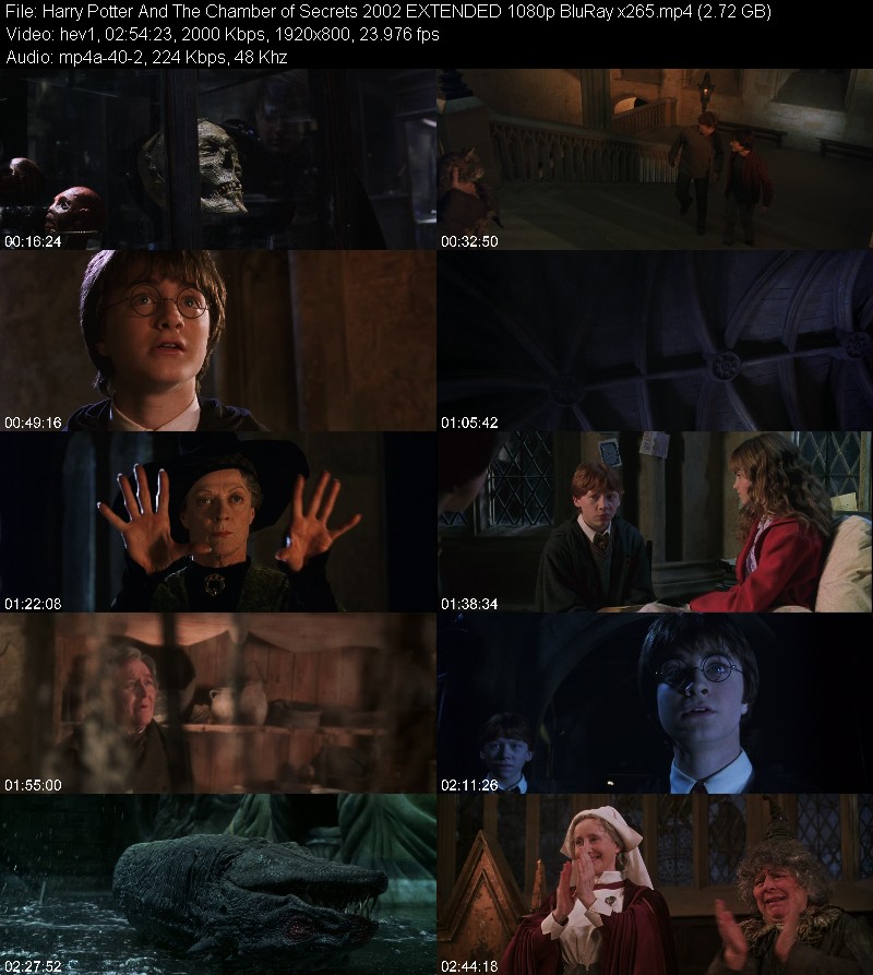 Harry Potter And The Chamber of Secrets 2002 EXTENDED 1080p BluRay x265 5d0c254ec1529c494208be45da2ff9ba