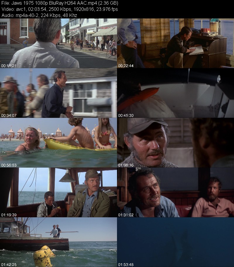 Jaws 1975 1080p BluRay H264 AAC 3ce1350996874fe9e115b68c897738be