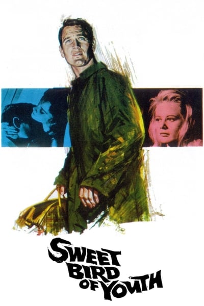 Sweet Bird Of Youth 1962 1080p BluRay x265 7384b57466637404a2df6e2107ea4dd0