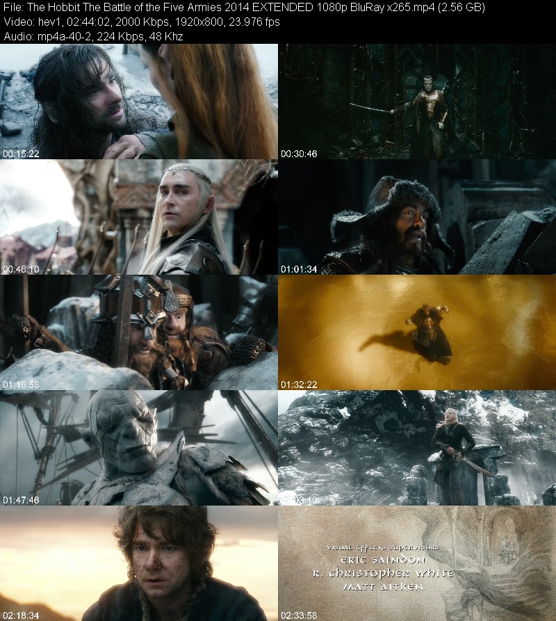 The Hobbit The Battle of the Five Armies 2014 EXTENDED 1080p BluRay x265 F9c1f10abf7c0c86253bcbe3cc7159d7