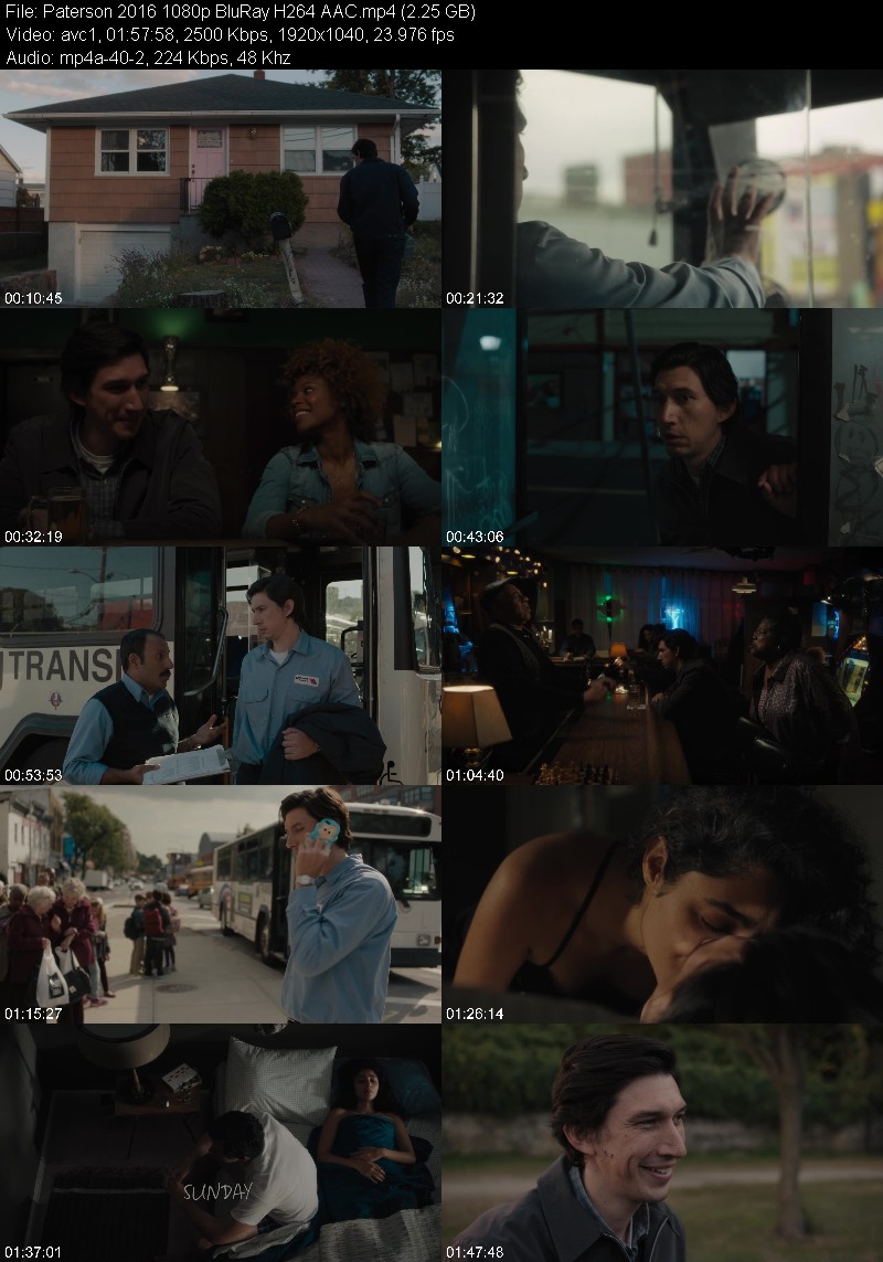 Paterson 2016 1080p BluRay H264 AAC 795ef6b469e1c8f5c18230cc3ed50ed9