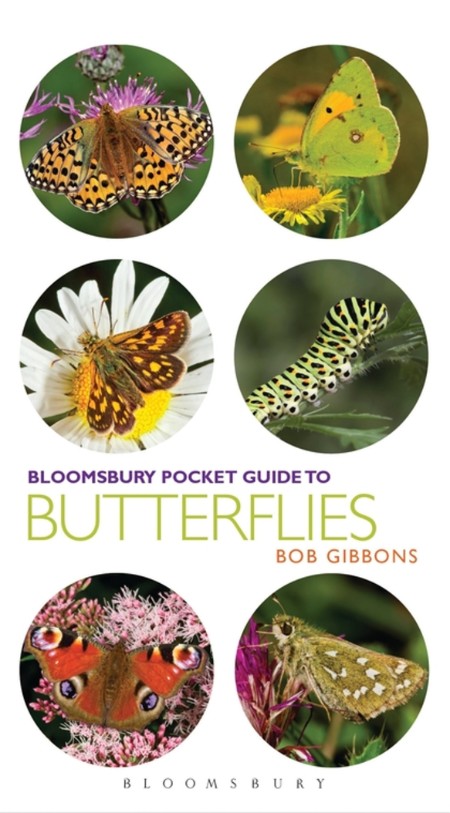 Pocket Guide to Butterflies by Bob Gibbons 26b852d7fd4b1b71df6c4fa0b656d7ff