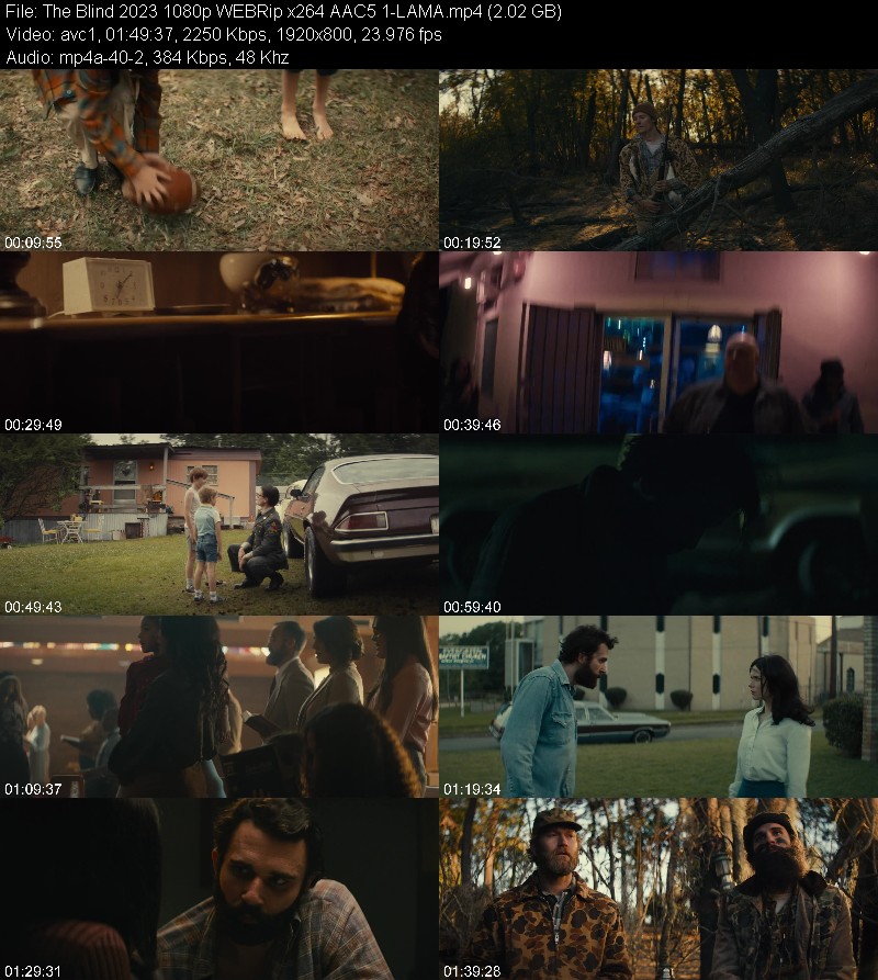 The Blind (2023) 1080p WEBRip 5 1-LAMA 987667841297db3112db63877da6a707