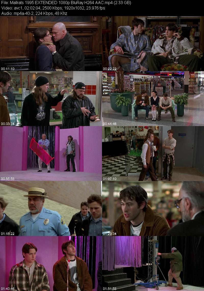 Mallrats 1995 EXTENDED 1080p BluRay H264 AAC 941f42bc0a3e1c8485326096d9e1b821