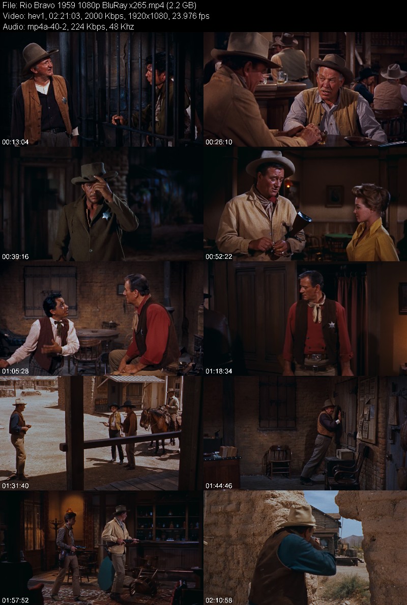 Rio Bravo 1959 1080p BluRay x265 482d0462759ed2227d2d24b19d81974d