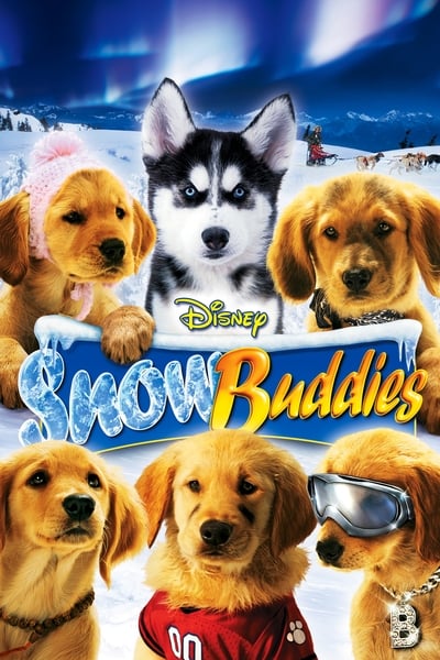 Snow Buddies 2008 1080p BluRay H264 AAC 377229d39d7e2967d5c0ce97a930b251