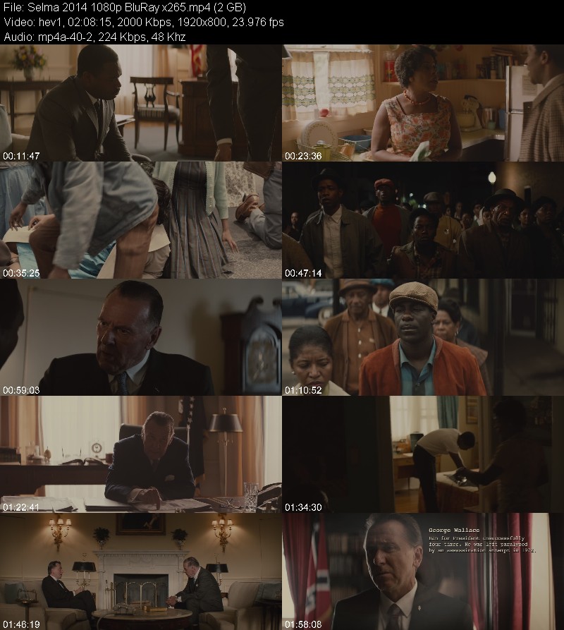 Selma 2014 1080p BluRay x265 373d65ac6900ed74353c8cc50d9e085a