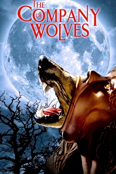 The Company of Wolves 1984 REMASTERED 1080p BluRay x265 2ef542496808bac2ec6a697545b2a66f