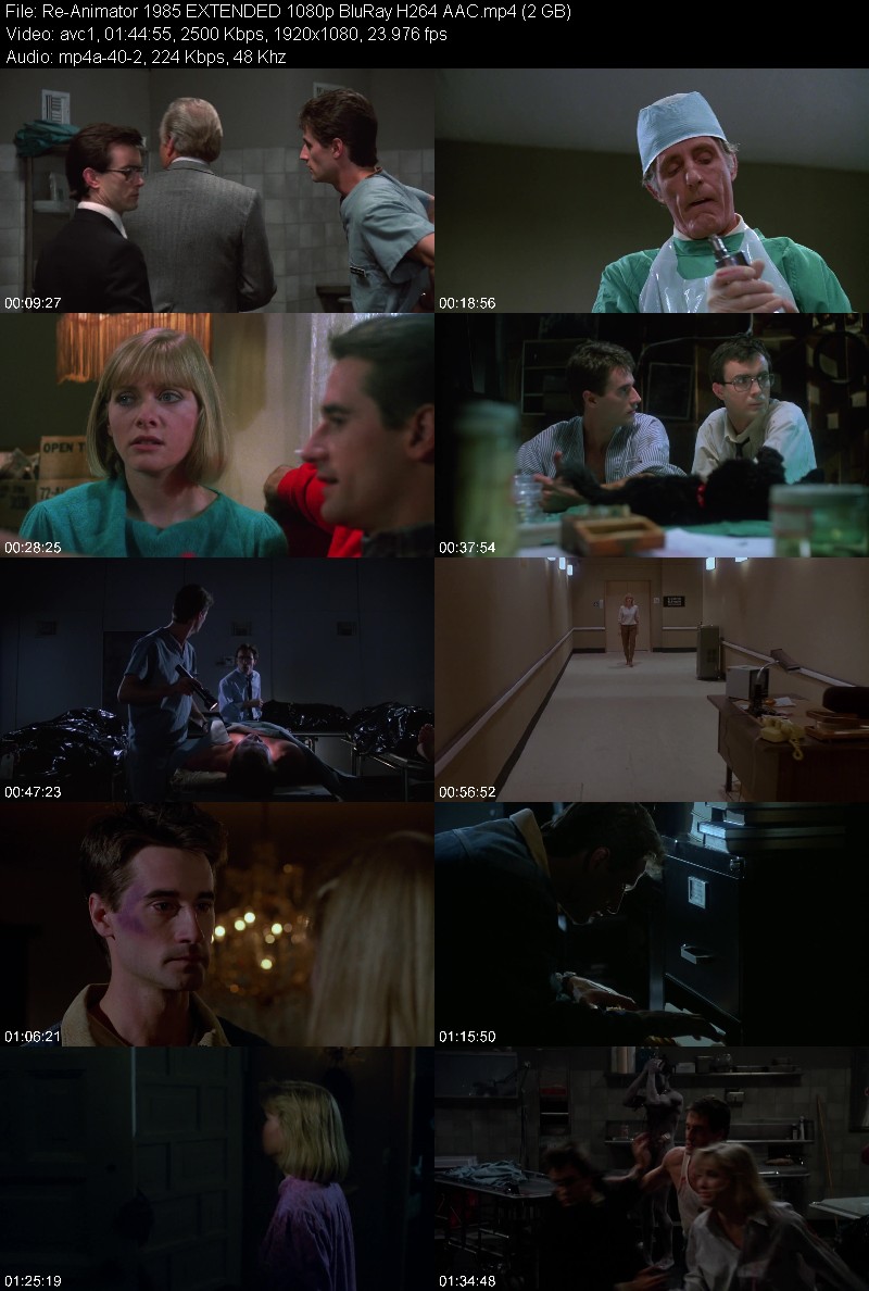 Re-Animator 1985 EXTENDED 1080p BluRay H264 AAC 41fb9c67fddc06d726da7681d6b9c874