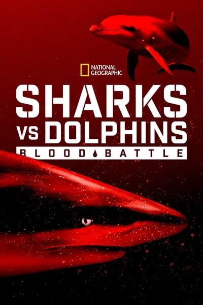 Sharks vs Dolphins Blood Battle 2020 1080p WEBRip x265 4bddbd44b1cd3df884d2459ab0ced283