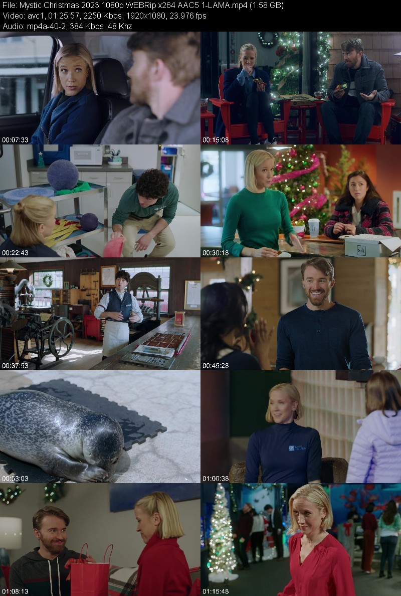 Mystic Christmas (2023) 1080p WEBRip 5 1-LAMA 8902fba54335bb614800260de5ea129f