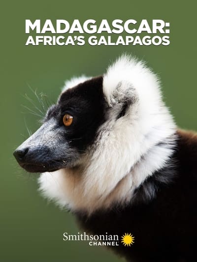 Madagascar Africas Galapagos 2019 1080p WEBRip x265 2d28023a8729687d01de2b6c412608b0