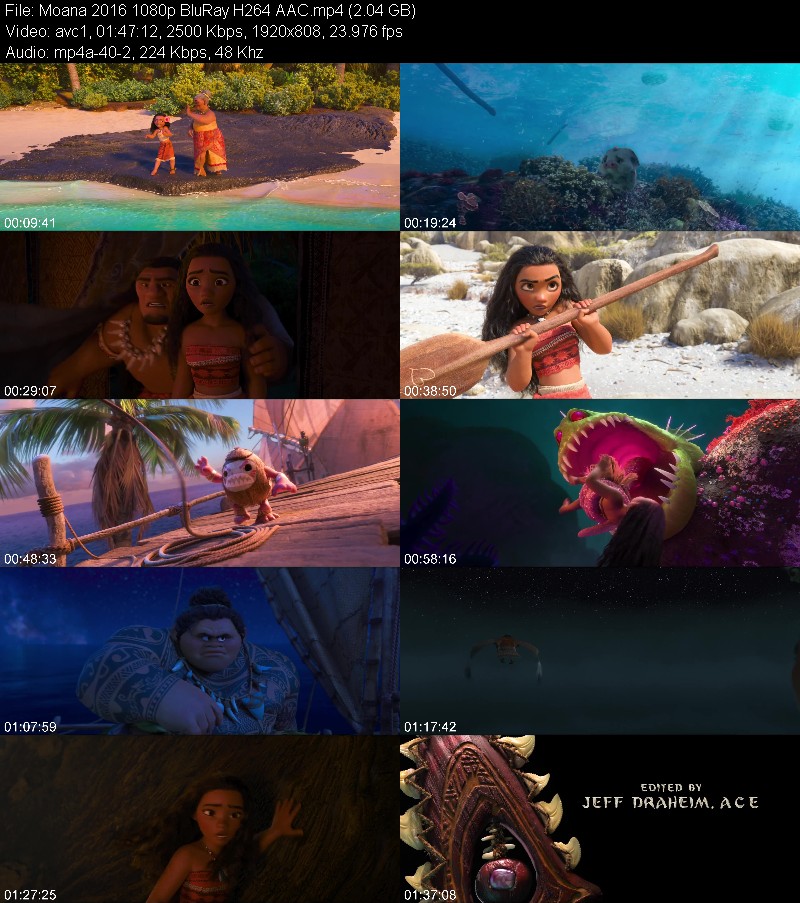 Moana 2016 1080p BluRay H264 AAC F87a019208bf6e1c1cdf360cb94ed0cd