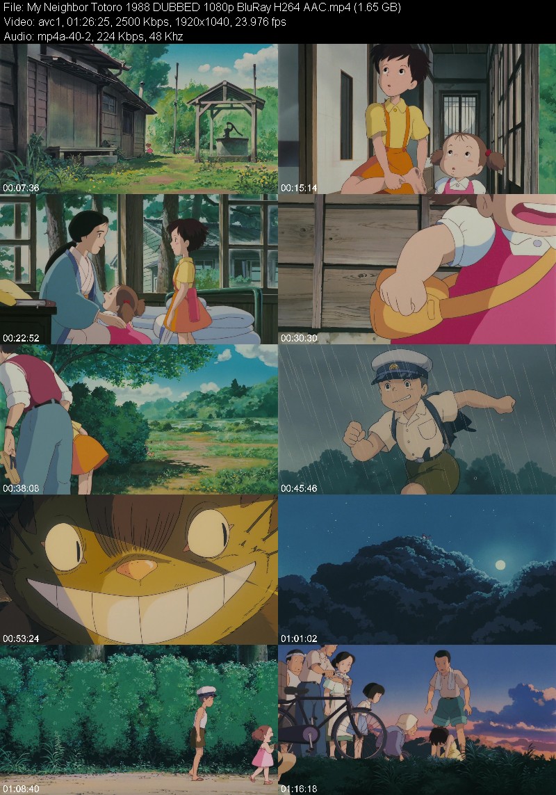 My Neighbor Totoro 1988 DUBBED 1080p BluRay H264 AAC 1b0c77570552105cc64cd42886bb77d4