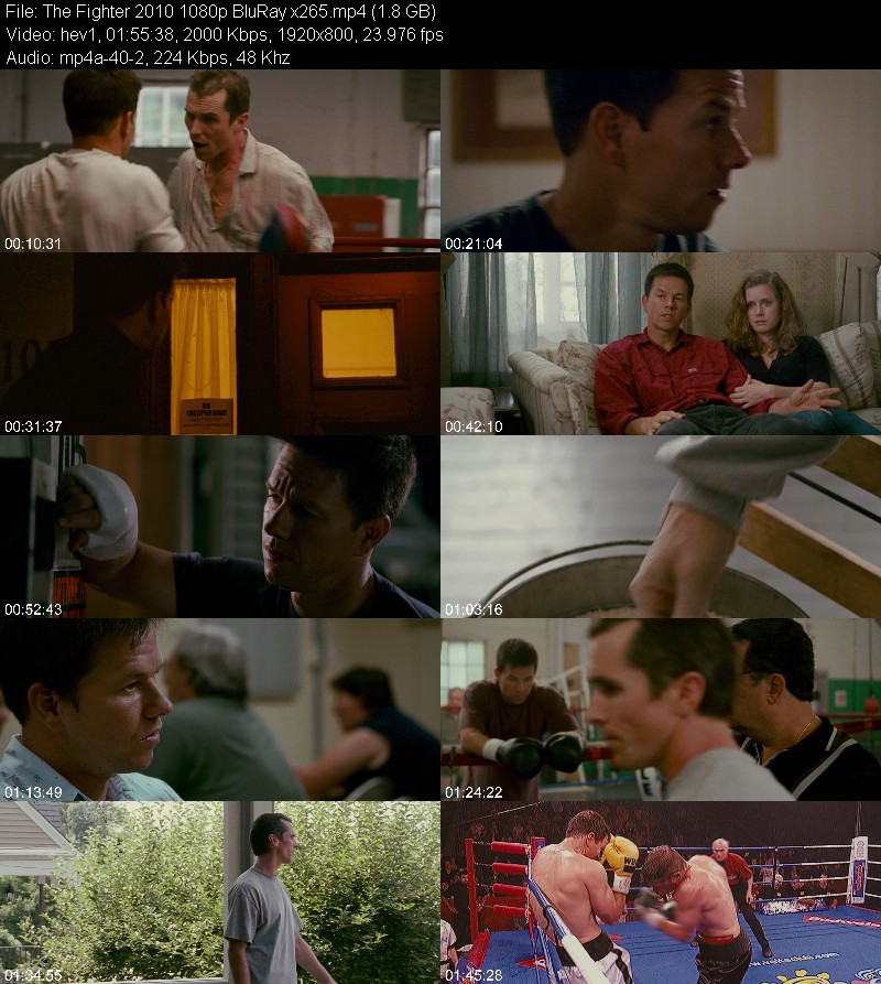 The Fighter 2010 1080p BluRay x265 Abe9630baefd440c5ff30546d53abd13