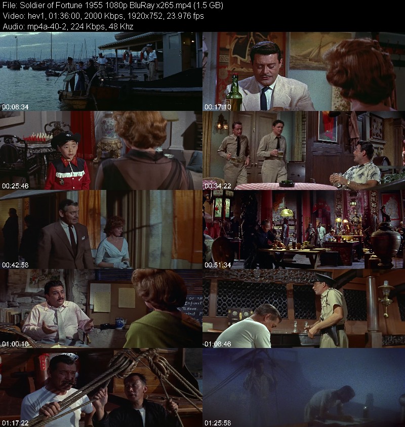 Soldier of Fortune 1955 1080p BluRay x265 16fc6f7ea1669ada8b78fdd089379b22