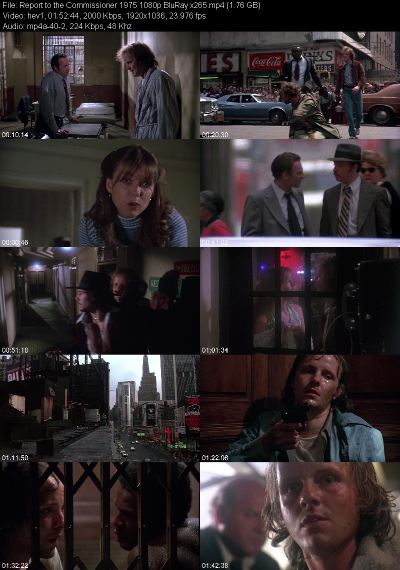 Report to the Commissioner 1975 1080p BluRay x265 A2060be110b33b911d8614b15e22ba23