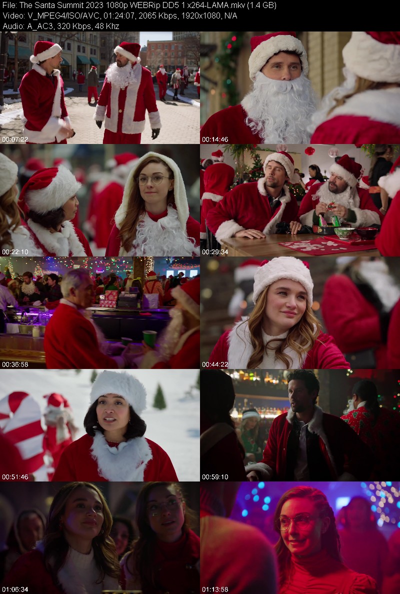 The Santa Summit 2023 1080p WEBRip DD5 1 x264-LAMA 43bf4e8bc7e247cbbab2a14e592cb529