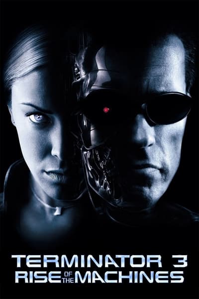 Terminator 3 Rise of the Machines 2003 1080p BluRay H264 AAC B52a252433ca61ea3ba052a2f35a5235