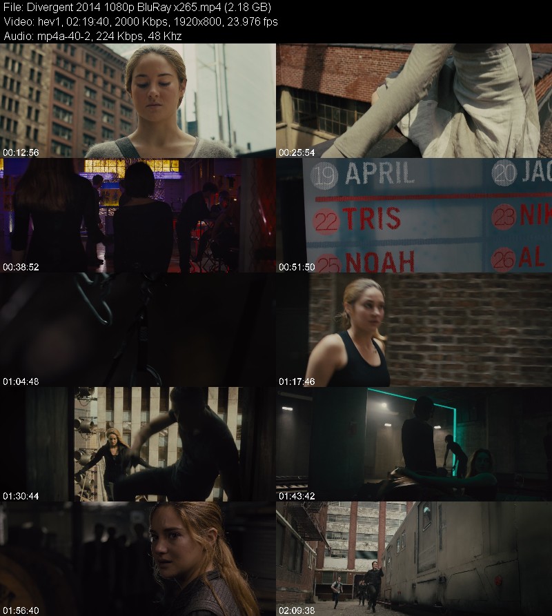 Divergent 2014 1080p BluRay x265 A99b7fbdf7346a88262a2b3860e45536