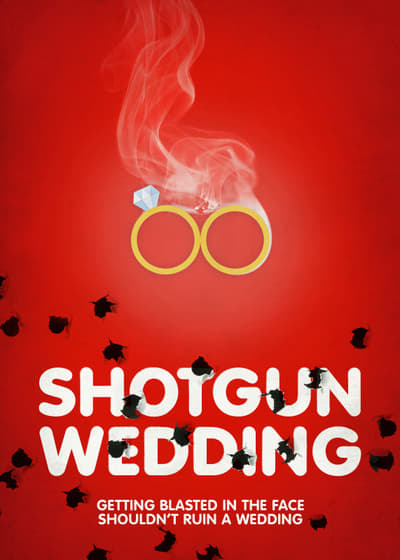 Shotgun Wedding 2013 1080p WEBRip x265 016668fe6b6ca29e70a2e79252ca1f5c