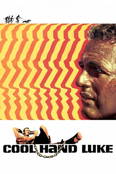 Cool Hand Luke 1967 1080p BluRay H264 AAC B4156a1db3b956e7bda6e8ea8c51165c