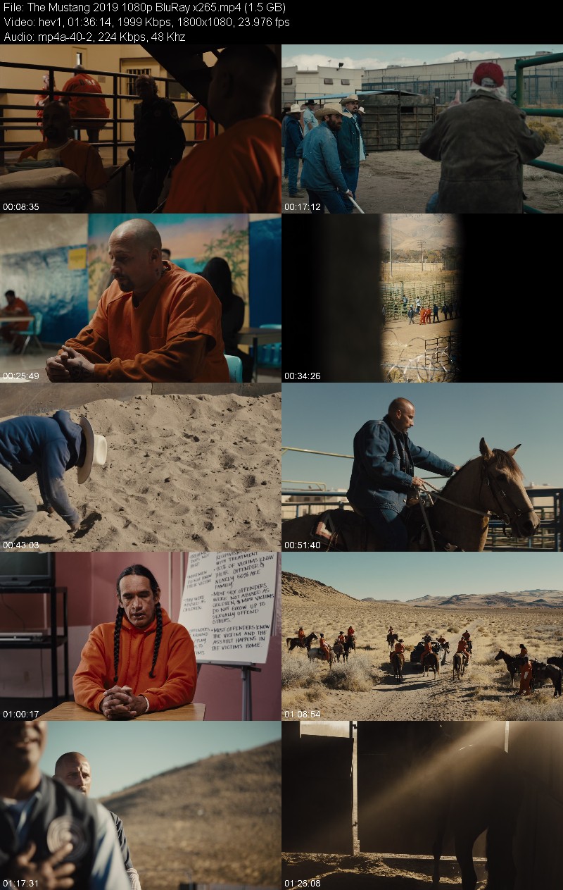 The Mustang 2019 1080p BluRay x265 57dd90806091cf8d4880cabd6cbeb85f