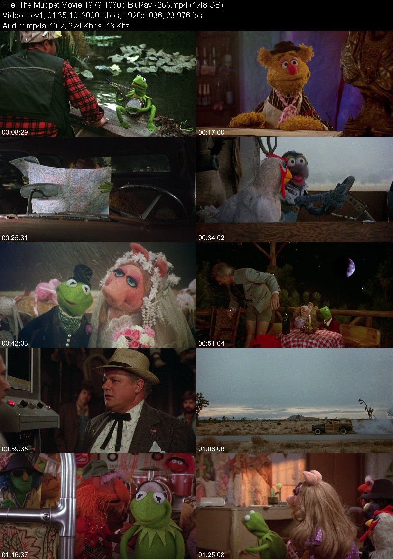 The Muppet Movie 1979 1080p BluRay x265 Bd59df38c125f37e63d3c0a4b07a5860