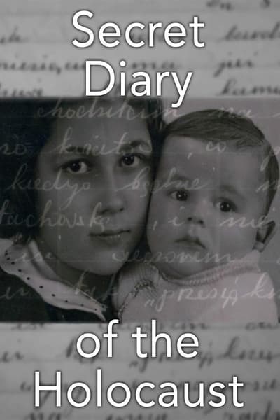 The Secret Diary of the Holocaust 2009 PROPER 1080p WEBRip x265 C37074806001cf807102ad9c48377862