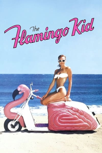 The Flamingo Kid 1984 1080p BluRay x265 De3558d0ffc8a7dfc3d111b38f388972