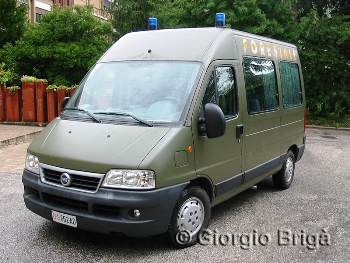 FIAT Ducato 15 2.8 JTD 9 Posti CFS Walk Around