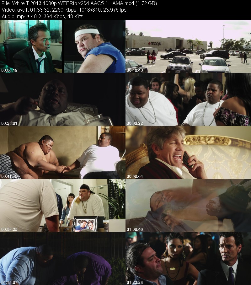 White T (2013) 1080p WEBRip 5 1-LAMA E0630a32b254118ec4392f9e1cbd1384