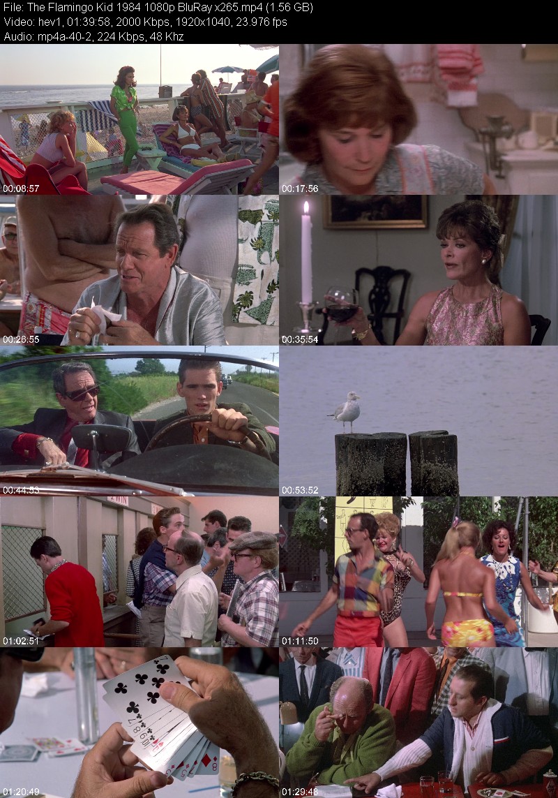 The Flamingo Kid 1984 1080p BluRay x265 914877b12f5bd2fdbac73205fb99e493