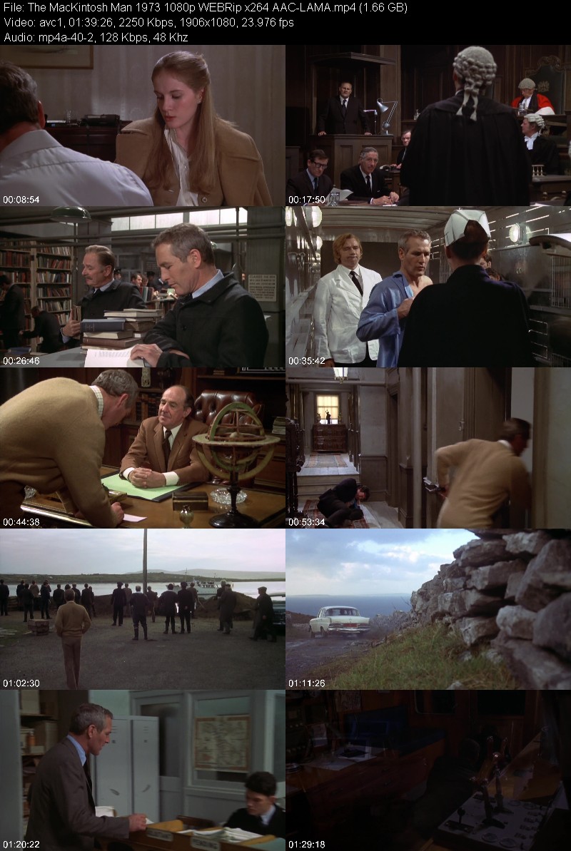 The MacKintosh Man (1973) 1080p WEBRip-LAMA 96275c30ef74ab543a296f73f40415aa