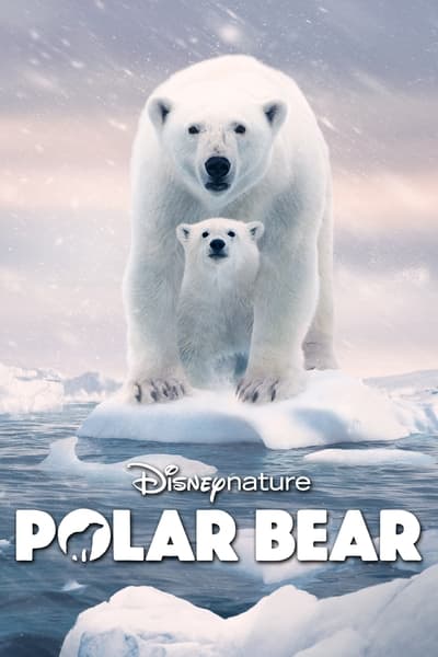 Polar Bear 2022 1080p WEBRip x265 3363d26381a7656cb42912d5e17140ae