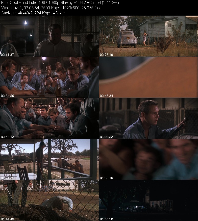 Cool Hand Luke 1967 1080p BluRay H264 AAC 6240b2e1a31a4a469f36e5302a942bc1