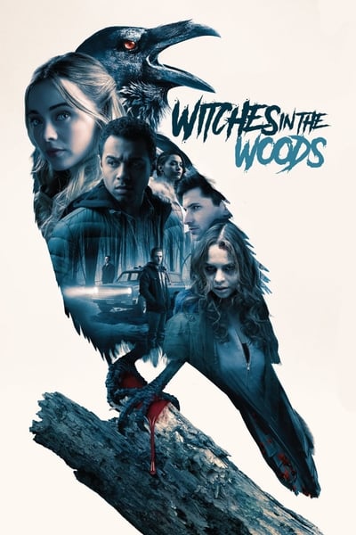 Witches In The Woods 2019 1080p BluRay x265 Cb51a5d88cae3d6c82c9deae01d490c6